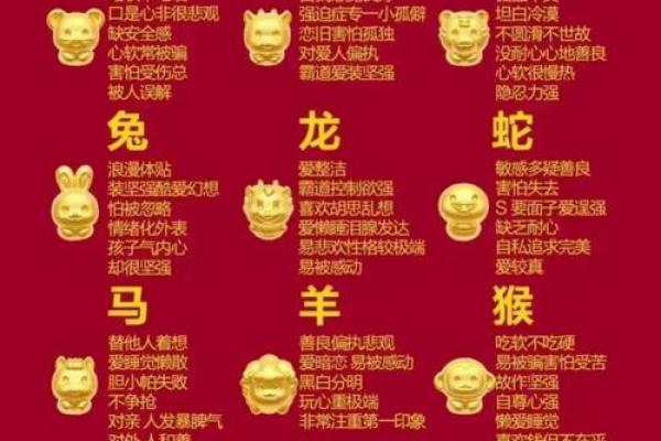 一眼识生肖，图解中华生肖文化