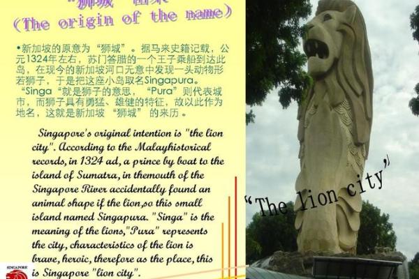 新加坡公司起名技巧，助你一举吸引客户目光