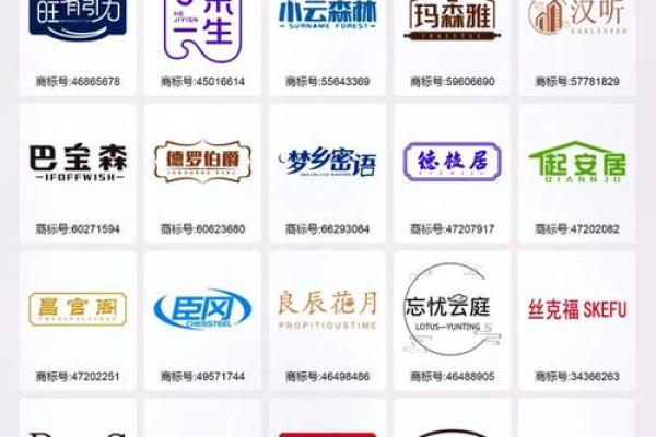 从品牌到商标，永起名公司为你量身定制完美名字