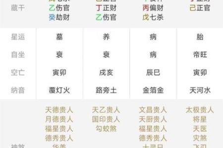 紫薇排盘深度解析，揭示人生潜力与挑战