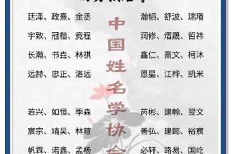 免费男孩起名大全，送你最独特的名字灵感