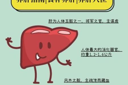 养生必知：这才是养命之源