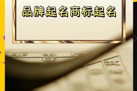 从品牌到商标，永起名公司为你量身定制完美名字