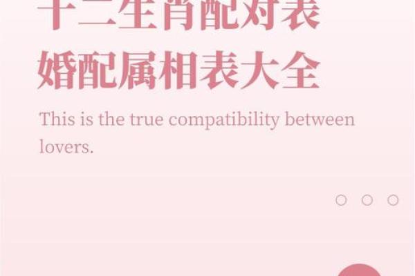 狗猪配对大揭秘：揭秘属相相配的奥秘