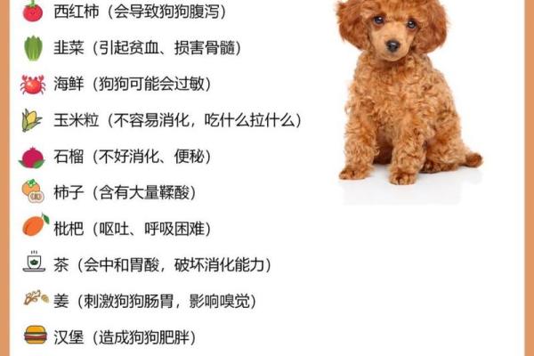 如何为你的泰迪狗狗起个独一无二的名字？