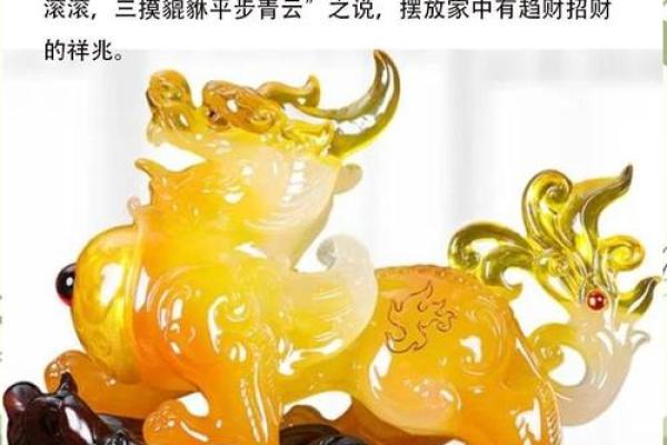 赖布衣风水秘术，助你布局家居财运亨通