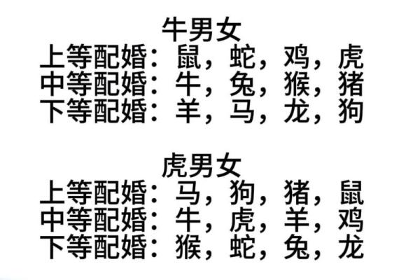 婚姻幸福密码，属相配对大揭秘