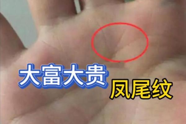 手相之谜：揭秘田字格局，财运亨通的神奇信号