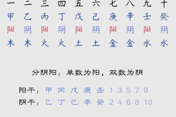 解密天干癸辛己的五行力量