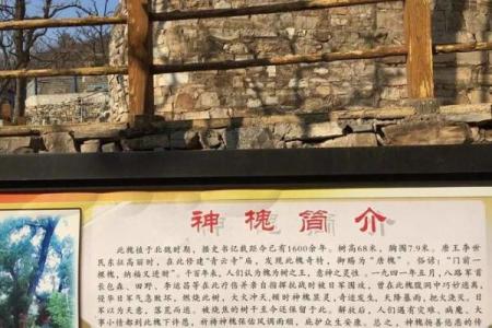 李长背后的深刻含义，你知道吗？