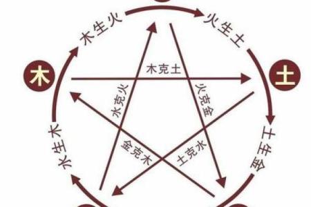 五行属什么？揭秘生肖与五行的深层联系