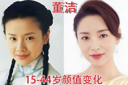 董洁八字揭秘：命运与事业的深层联系