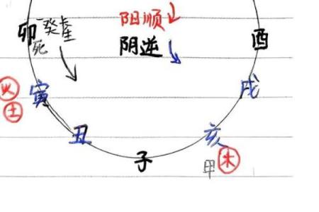 探秘十二长生与天干的奥秘，掌握命理中的力量