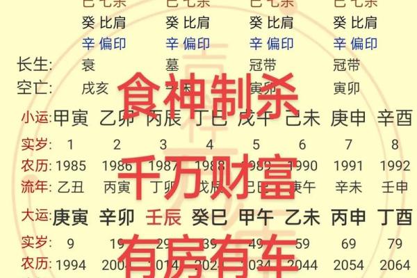 食字五行属什么揭秘