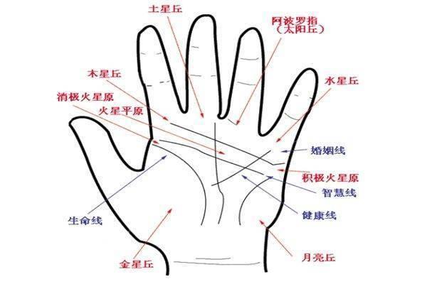 射手手相揭秘：这些禁忌你绝对不能犯