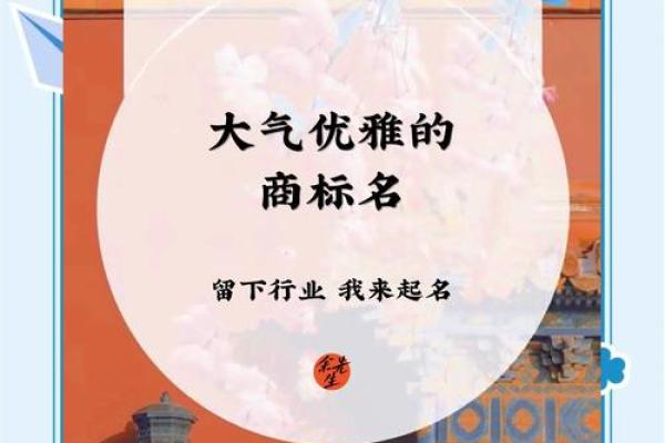 轻松打造高端品牌名，尽在企大师起名系统