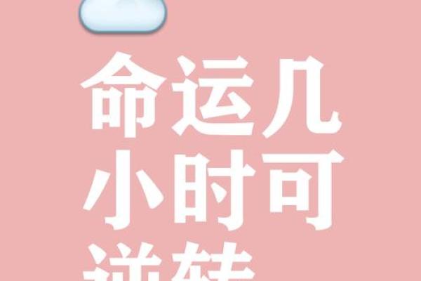颠覆命运，破格重生