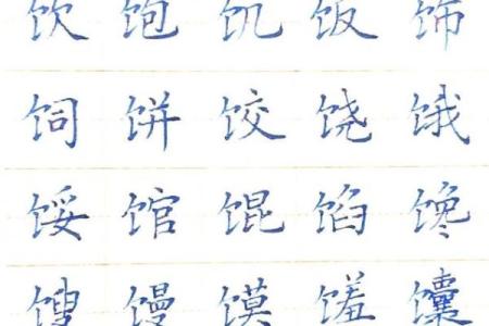 食字五行属什么揭秘