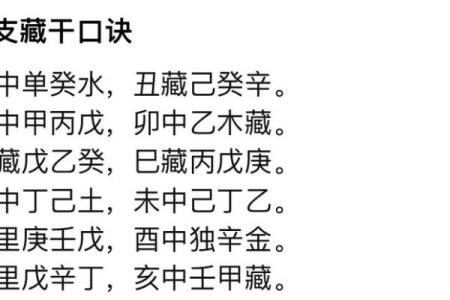 轻松搞懂天干地支藏干表，让你成为命理高手
