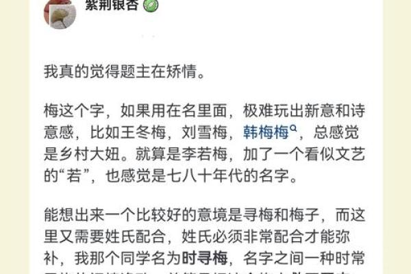 梅姓宝宝起名技巧，打造个性化名字