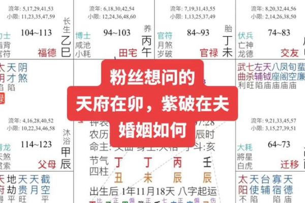 深入了解元亨利贞紫薇排盘，让你掌握未来的关键