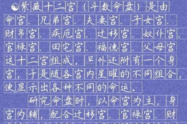 深入了解元亨利贞紫薇排盘，让你掌握未来的关键