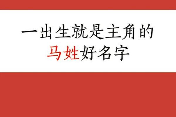 打破传统，为马宝宝取个独特又有意义的名字