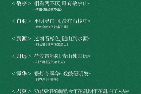 打破传统，为马宝宝取个独特又有意义的名字