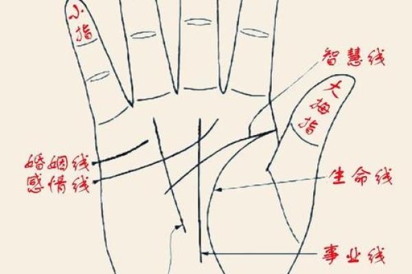 手相识财，揭秘你手中的财运密码