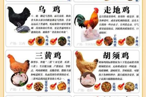 如何给鸡起个好名字？这些禁忌千万不要犯