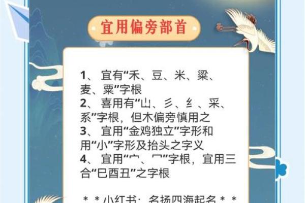 如何给鸡起个好名字？这些禁忌千万不要犯