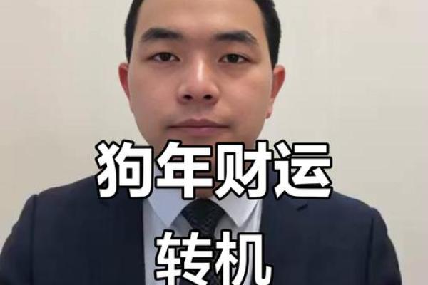 土金生辉，财运亨通：揭秘2024年生肖狗的转运之道