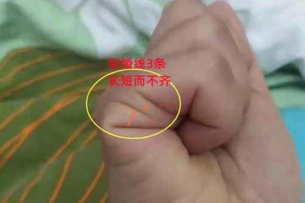 手相揭秘：凤眼纹透露的秘密，让你的感情线更加清晰
