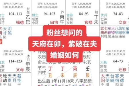 深入了解元亨利贞紫薇排盘，让你掌握未来的关键