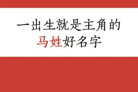 打破传统，为马宝宝取个独特又有意义的名字