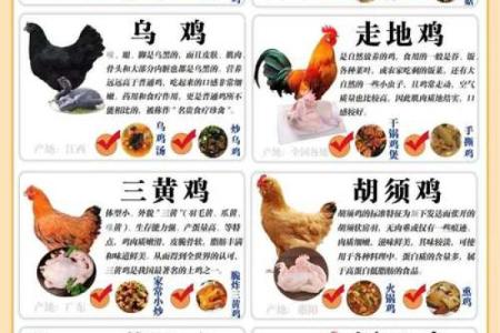 如何给鸡起个好名字？这些禁忌千万不要犯