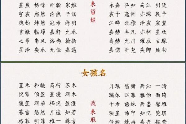 芦姓宝宝起名指南：让你的孩子名字独具魅力