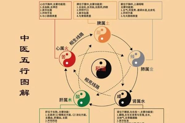 生肖与五行相生相克，如何利用金木水火土改善运势