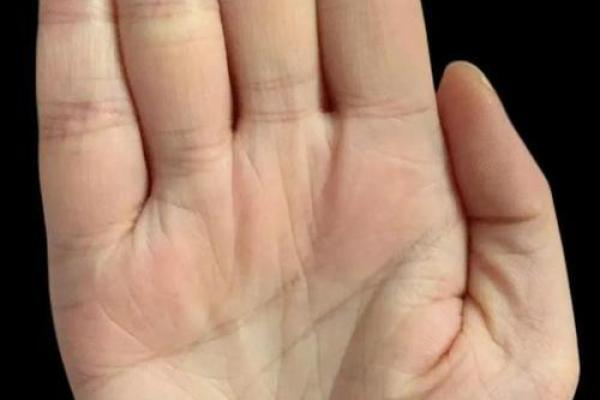 掌中乾坤，手相解码：揭秘你的命运密码，笑看人生起伏