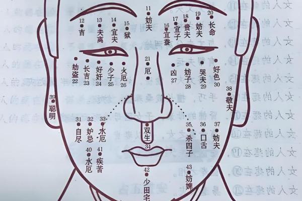 揭秘长额头面相：财富与智慧的象征