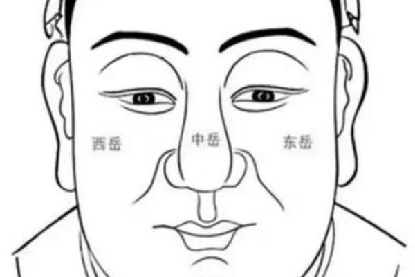 揭秘长额头面相：财富与智慧的象征