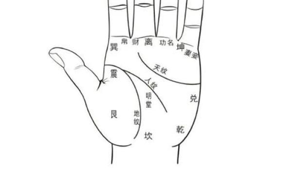 一掌定乾坤揭秘手相中的神秘姓名密码