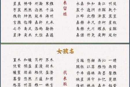 芦姓宝宝起名指南：让你的孩子名字独具魅力