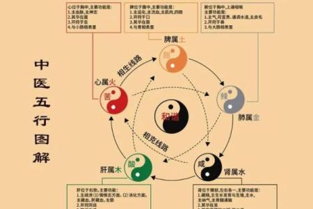 生肖与五行相生相克，如何利用金木水火土改善运势