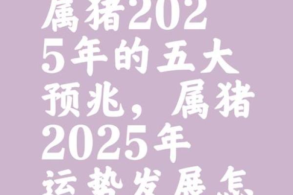 猪年运势揭秘：揭秘猪宝宝的星座天赋