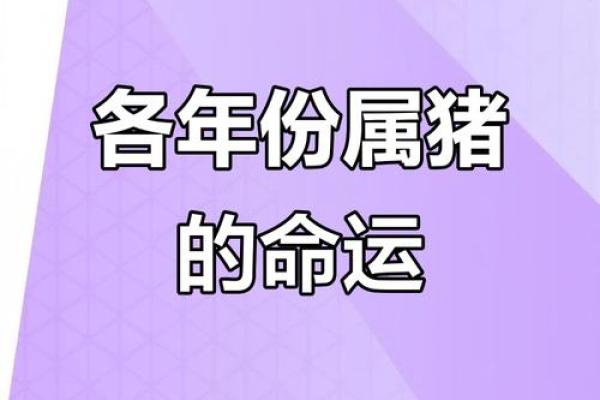 猪年运势揭秘：揭秘猪宝宝的星座天赋
