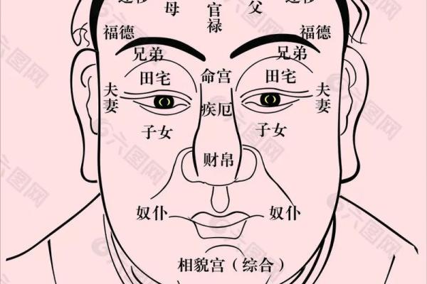 神秘痣相男子，揭秘其惊人的财富秘密