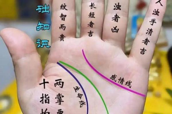 孕妇手相揭秘：一眼辨男女，神奇手相术让你惊叹不已