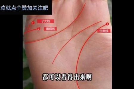 孕妇手相揭秘：一眼辨男女，神奇手相术让你惊叹不已