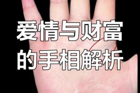揭秘手相密码：一招看透命运，揭秘你的财运、健康、爱情